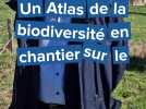 Un Atlas de la biodiversité Caux Seine en chantier