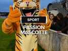 Passion mascotte