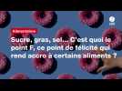 VIDEO. Sucre, gras, sel... C'est quoi le point F, ce point de félicité qui rend accro à certains aliments ?