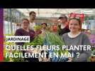 Quelles fleurs planter quand on est nul en jardinage ?