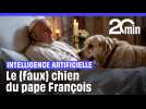 Chien du pape François : Attention à ces vidéos générées par IA virales sur YouTube