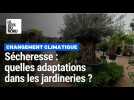 Sécheresse : les jardineries du Nord adaptent leur offre
