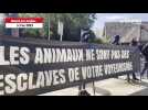 VIDÉO. Des militants cagoulés se positionnent devant ce parc zoologique de l'Ouest
