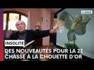 La 2ème chasse de la chouette d'or n'a plus de frontière !