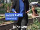 Quartier des Moulins : cette ferme fait de l'agriculture urbaine et de l'éducation populaire