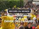 Le record du monde... de la danse des canards