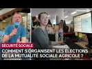 Comment s'organisent les élections de la Mutualité sociale agricole ?