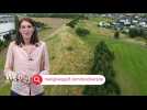 Les initiatives écologiques du golf de Mérignies
