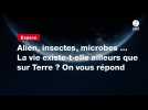 VIDEO. Alien, insectes, microbes ... La vie existe-t-elle ailleurs que sur Terre ? On vous répond