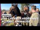 Deux nouveaux animaux au parc animalier de Charleville-Mézières