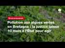 VIDEO. Pollution aux algues vertes en Bretagne : la justice laisse 10 mois à l'État pour agir