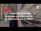 VIDEO. 1,5 million de billets de train pour cet été vendus en 24 heures par la SNCF