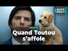 Vidéo D?après ces vidéos, mieux vaut ne pas regarder « Severance » avec son chien Vidéo D?après ces vidéos, mieux vaut ne pas regarder « Severance » avec son chien