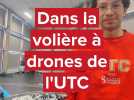 Dans cette volière de l'université de technologie de Compiègne, on imagine les drones de demain