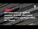 VIDEO. Accident avec un animal, pannes : le trafic des trains perturbé entre plusieurs villes de l'Ouest