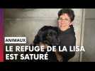 Le refuge de la Lisa : complètement saturé