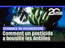 Comment le chlordécone a « bousillé » pour des siècles les populations et les terres antillaises