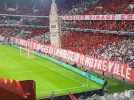 Le tifo des supporters du Losc match Lille -Dortmund