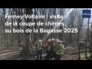 Ferney-Voltaire : visite sur la coupe forestière au bois de la Bagasse 2025