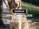 Comment Pipa guide Bruno, déficient visuel, au quotidien