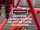 Derrière la rénovation de Notre-Dame, un agenais