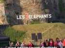 VIDÉO. Dernier jour pour profiter du festival Les 3 Eléphants à Laval
