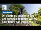 Que faut-il planter dans nos jardins cet été ?