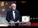 Pourquoi le trophée du Festival de Cannes est-il une palme ?