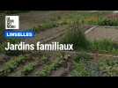 Jardins familiaux Linselles
