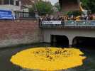 Le Ducks Day Douai 2025