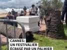 Cannes: un festivalier écrasé par un palmier