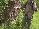 Faune du bois Chico Mendès à Calais