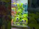La folie des machines à pince à Taïwan ! #shorts