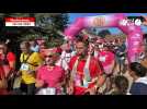 Coup d'envoi pour la Pig & Run, une course qui envoie du pâté en Bretagne