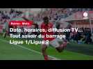VIDÉO; Reims - Metz. Date, horaires, diffusion TV... Tout savoir du barrage Ligue 1/Ligue 2