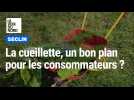 La cueillette et ses bons plans à Seclin