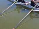 Aviron et avifit à Béthune : 