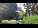 Bruxelles : incendie dans le parc Josaphat, partiellement évacué