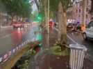 Intempéries en Haute-Garonne : Un arbre est tombé à Toulouse