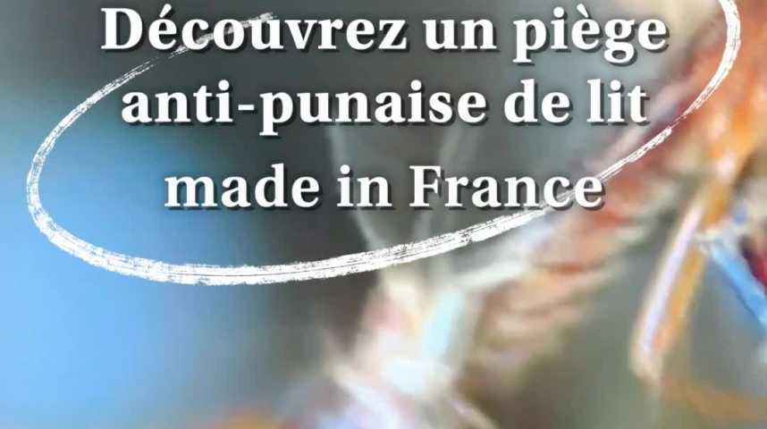HEADER VIDEO - À Marseille, quand le tueur à gages dénonce le projet meurtrier du mari jaloux