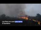 Indonésie : les incendies font rage à Sumatra, des villes plongées dans une brume sèche