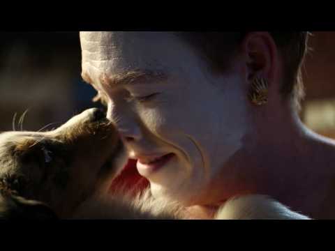 Dogman - Bande annonce 3 - VO - (2023)