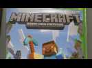 Vido Minecraft dpasse les 300 millions d'exemplaires vendus 
