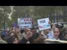 Several hundred pro-Palestinian demonstrators in Paris