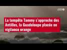 VIDÉO. La tempête Tammy s'approche des Antilles, la Guadeloupe placée en vigilance orange