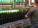La plus grande usine de lavage de bouteilles en verre de France ouvre à Nantes