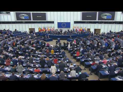 EU parliament stands in silence for 'terrorist' murders of two Swedes