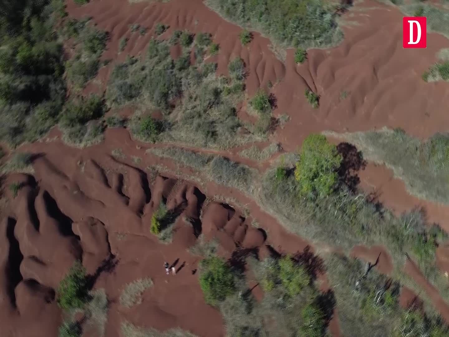 Shell Maraval Immersion dans les paysages spectaculaires et uniques des dunes de ...