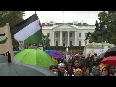 Pro-Palestinian demonstrators weather the rain in front of the White House