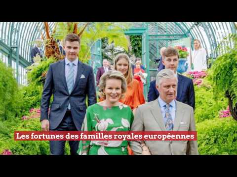 VIDEO : Les fortunes des familles royales europennes